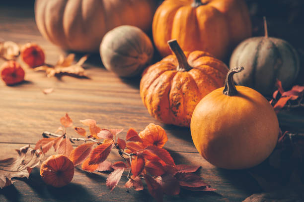 85 Pumpkin Pick Up Lines To Use This Autumn Season